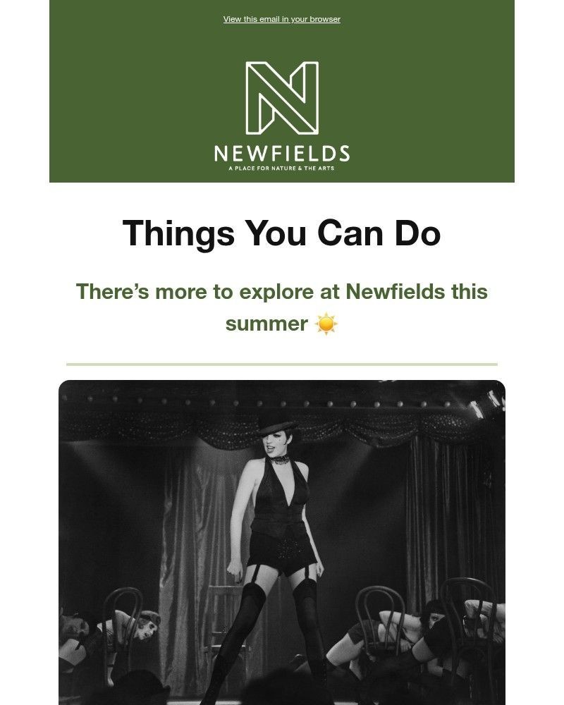 Screenshot of email sent to a Newfields Newsletter subscriber