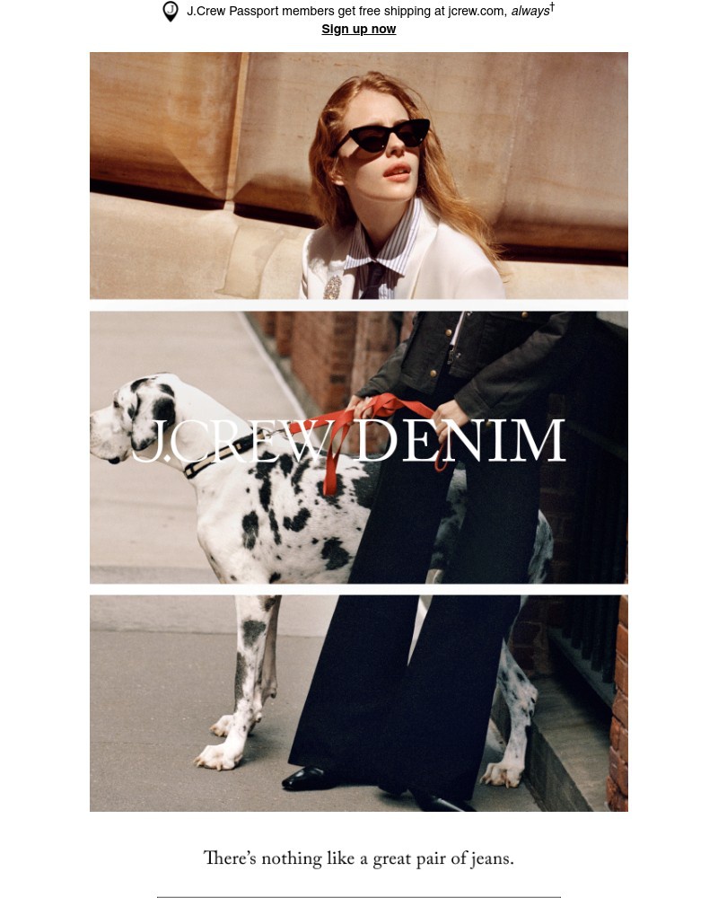 Screenshot of email sent to a J.Crew Newsletter subscriber