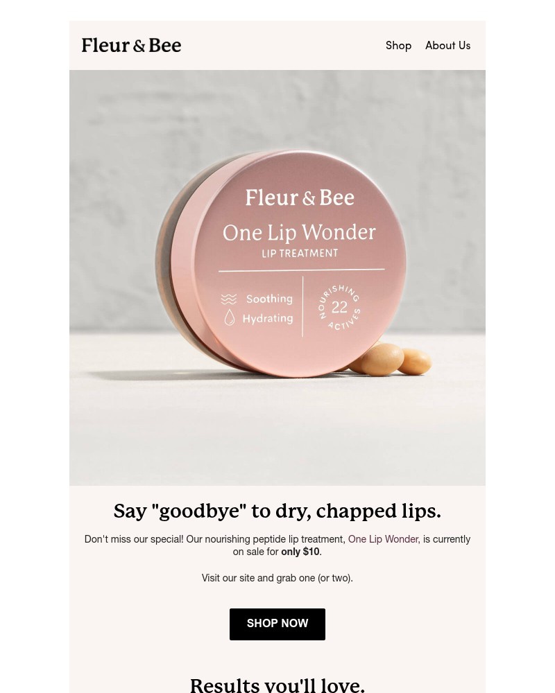 Screenshot of email with subject /media/emails/theres-still-time-for-your-10-lip-treatment-bb2527-cropped-f08a60b8.jpg