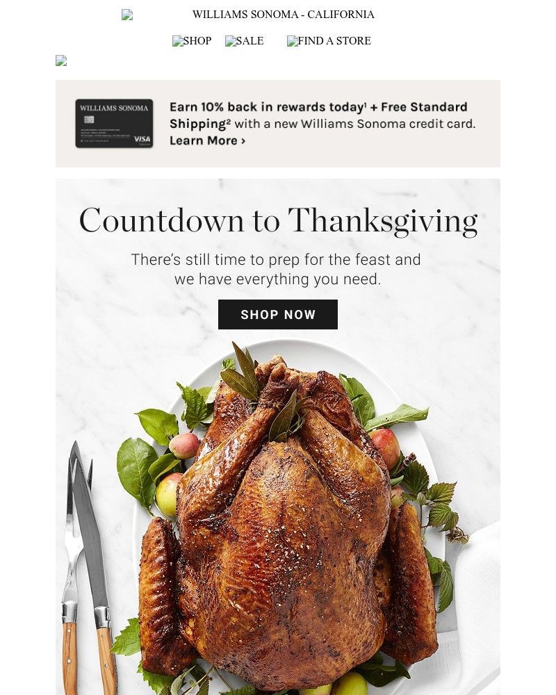 Screenshot of email with subject /media/emails/theres-still-time-shop-last-minute-thanksgiving-essentials-delivered-to-your-door_ZJwQQ5u.jpg