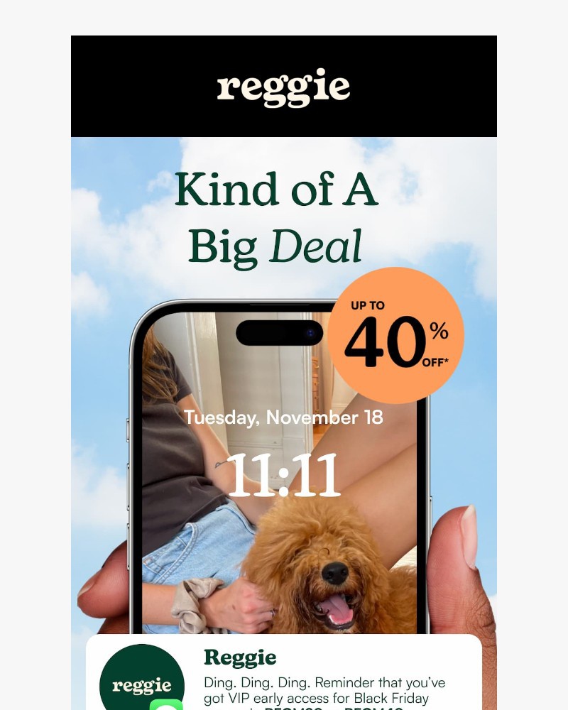 Screenshot of email with subject /media/emails/theres-still-time-to-fetch-up-to-40-off-64400f-cropped-7054e783.jpg