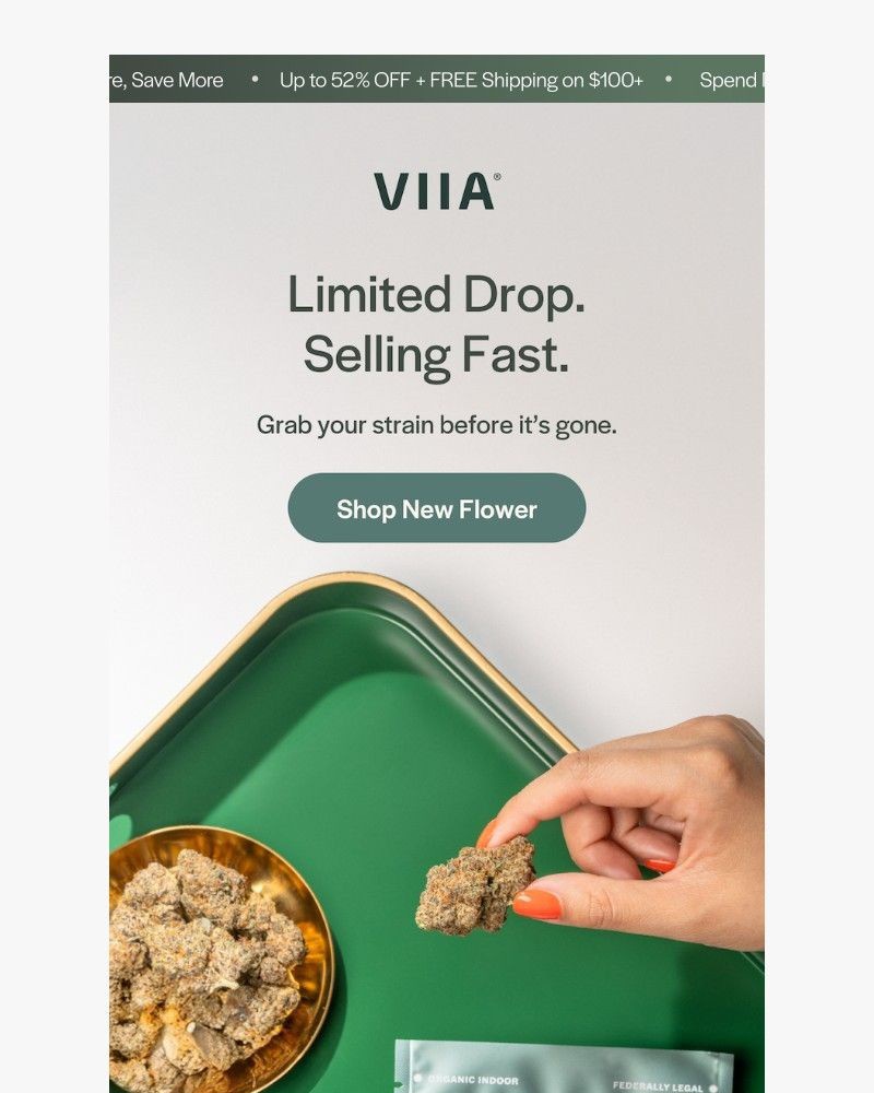 Screenshot of email with subject /media/emails/these-are-going-fast-1a96b8-cropped-dff79ddb.jpg