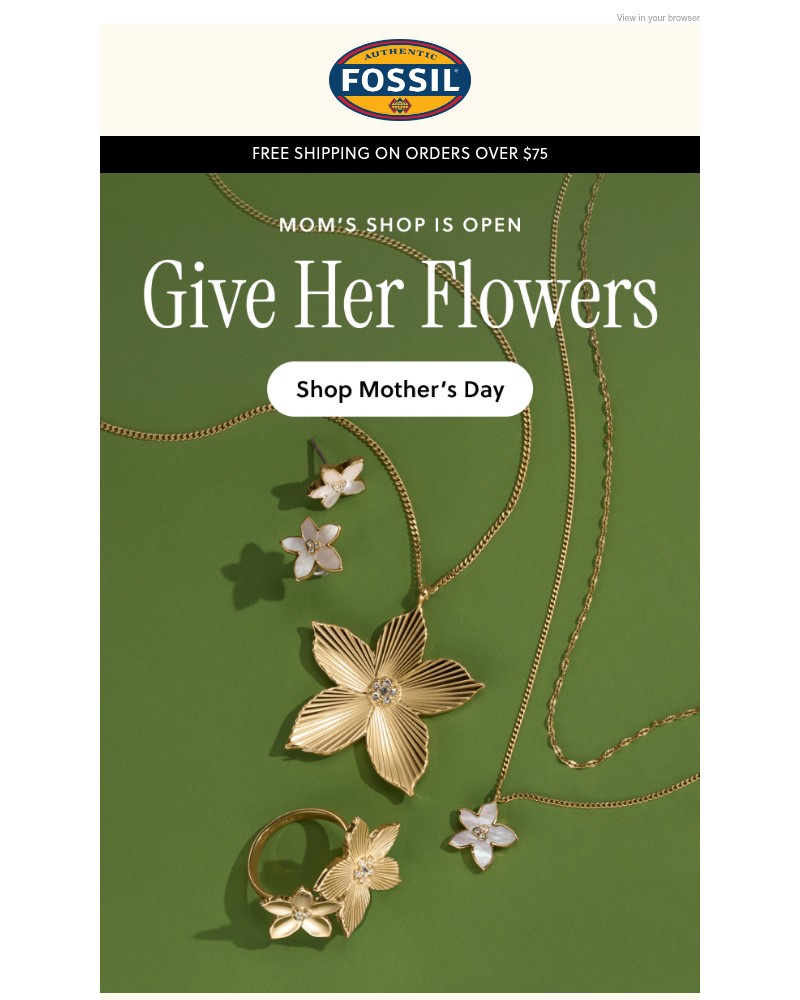 Screenshot of email with subject /media/emails/these-are-the-flowers-mom-wants-ff756c-cropped-b3f6777b.jpg