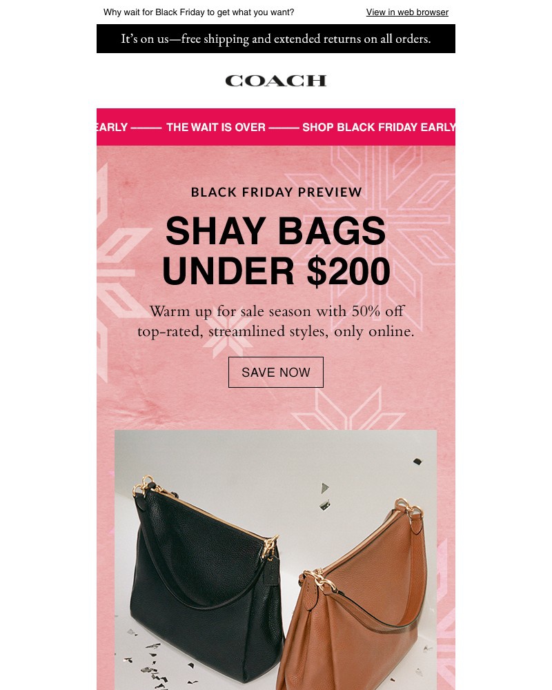 Screenshot of email with subject /media/emails/these-bags-are-on-major-sale-youve-scored-a-deal-1e09e3-cropped-969c6dae.jpg