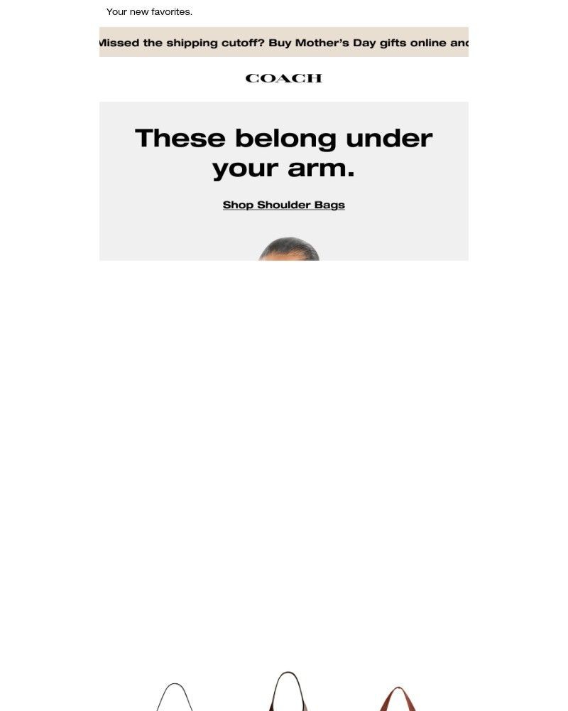 Screenshot of email with subject /media/emails/these-bags-belong-under-your-arm-f77a07-cropped-cbf229cd.jpg