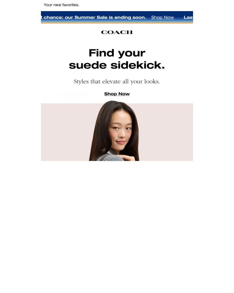 Screenshot of email with subject /media/emails/these-bags-belong-under-your-arm-f84a94-cropped-0f20709f.jpg