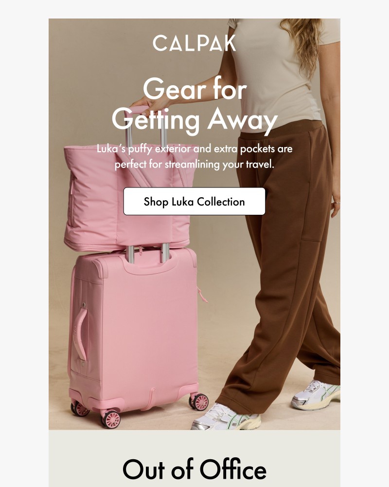 Screenshot of email with subject /media/emails/these-bags-were-made-for-pto-978327-cropped-3fad2273.jpg