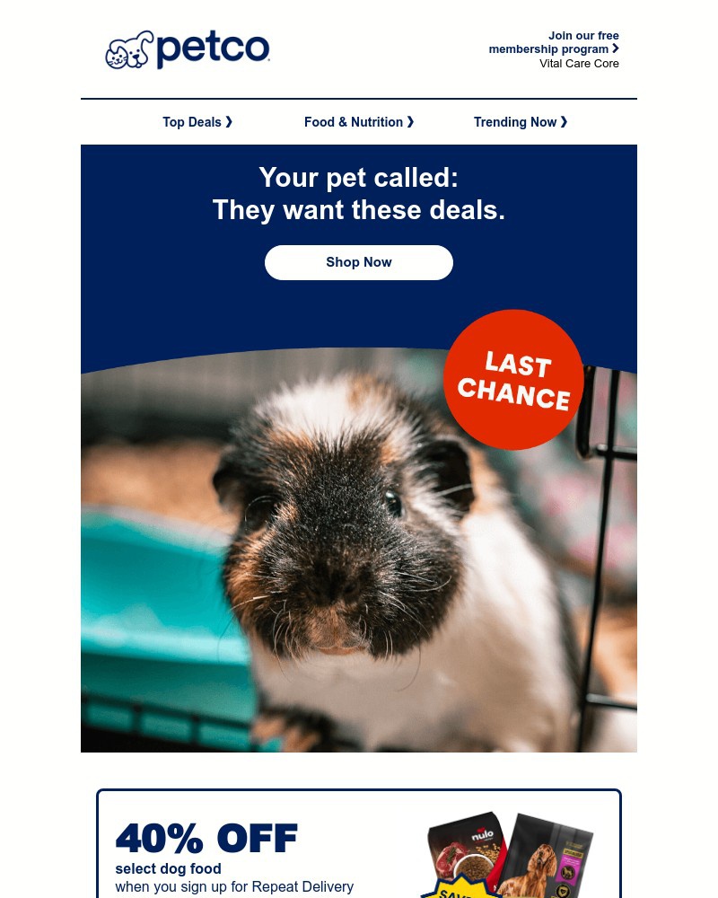 Screenshot of email with subject /media/emails/these-deals-are-calling-your-pets-name-2d594e-cropped-11631208.jpg