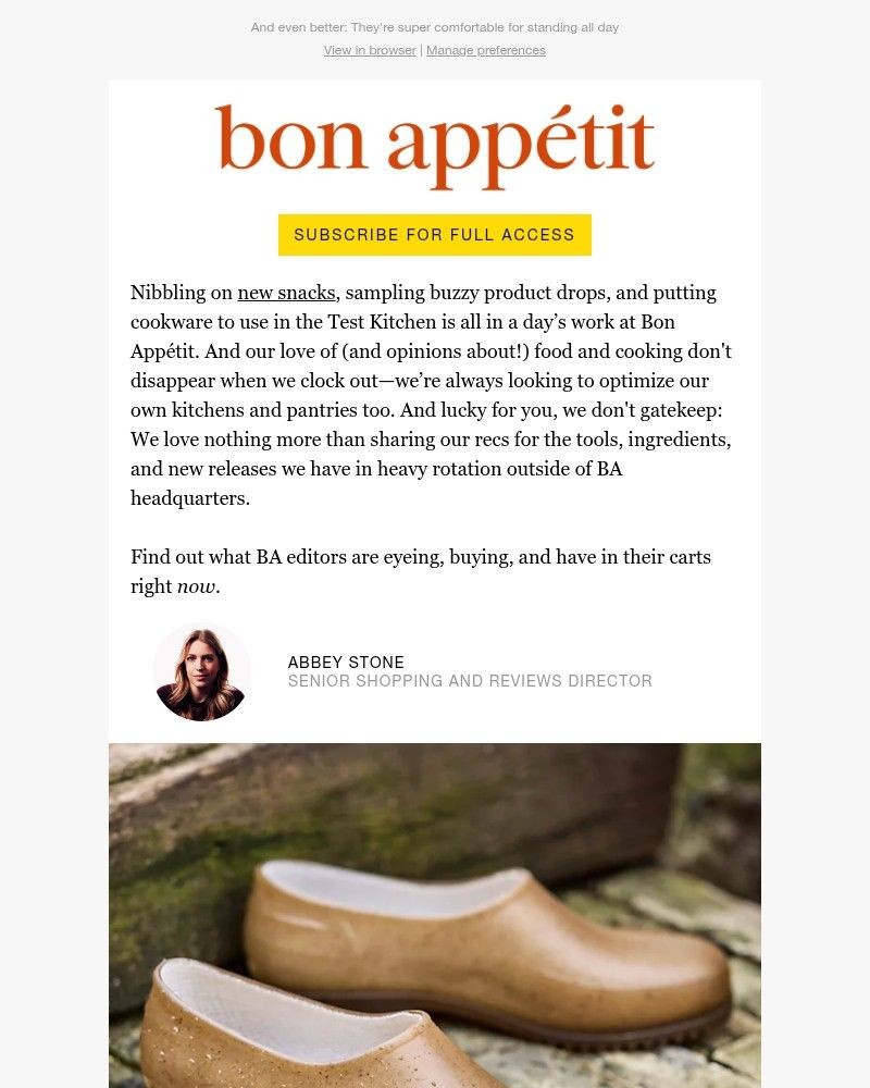 Screenshot of email with subject /media/emails/these-french-clogs-will-get-you-compliments-6a7018-cropped-efd93212.jpg