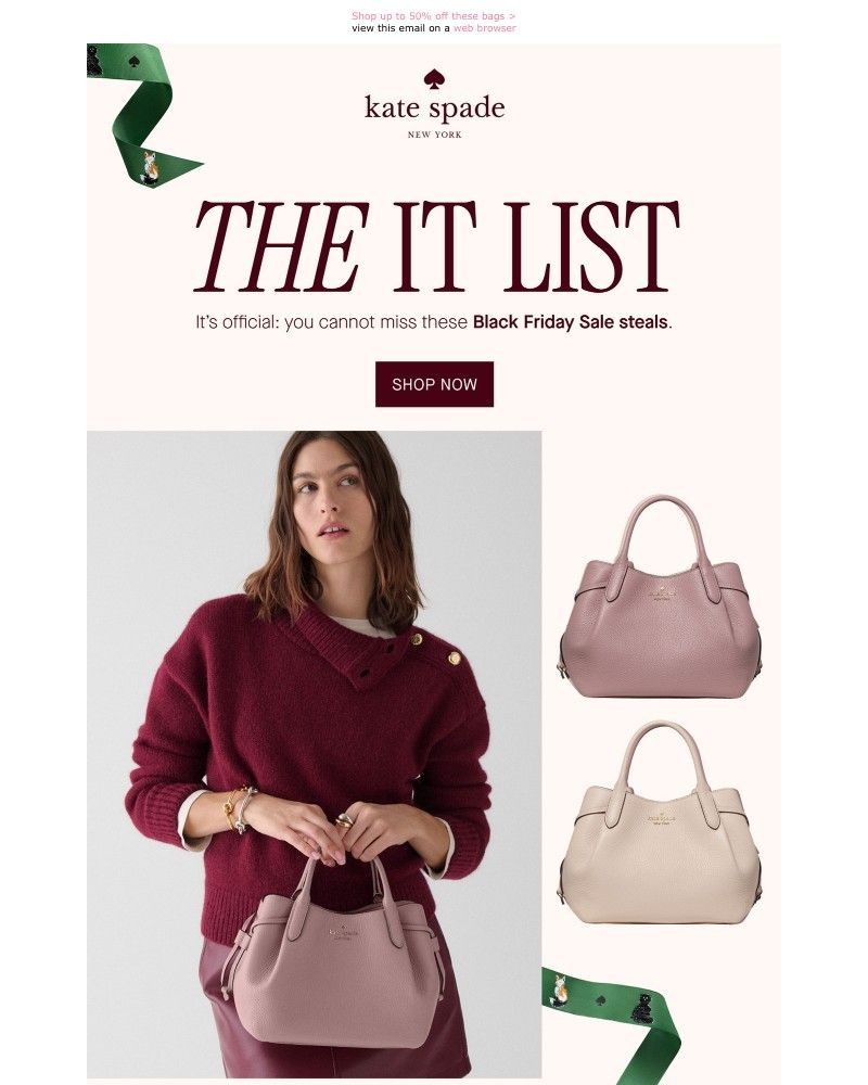 Screenshot of email with subject /media/emails/these-might-be-our-best-black-friday-deals-yet-30c032-cropped-9c4be46b.jpg