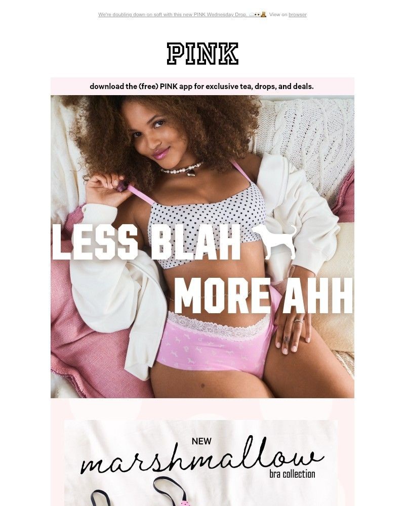 Screenshot of email with subject /media/emails/these-new-marshmallow-bras-though-28f992-cropped-34d84559.jpg