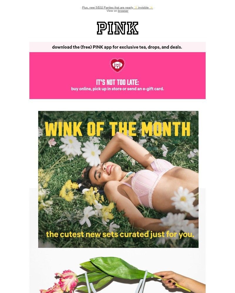 Screenshot of email with subject /media/emails/these-new-wink-bras-are-too-good-408a1f-cropped-c113b5e0.jpg