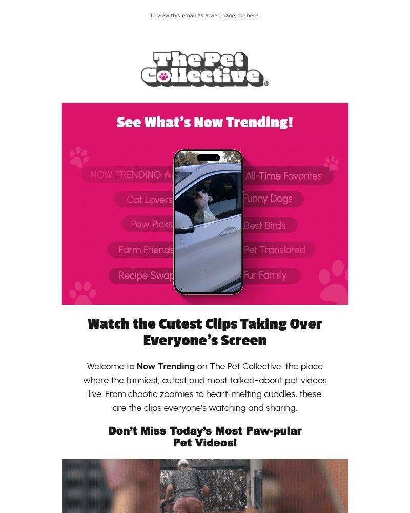 Screenshot of email with subject /media/emails/these-pets-are-breaking-the-internet-1bb8fe-cropped-0874c6f3.jpg