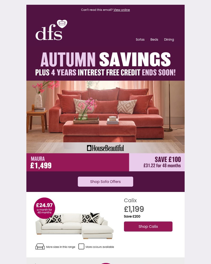 Screenshot of email with subject /media/emails/these-savings-end-soon-plus-773b3d-cropped-6879b592.jpg
