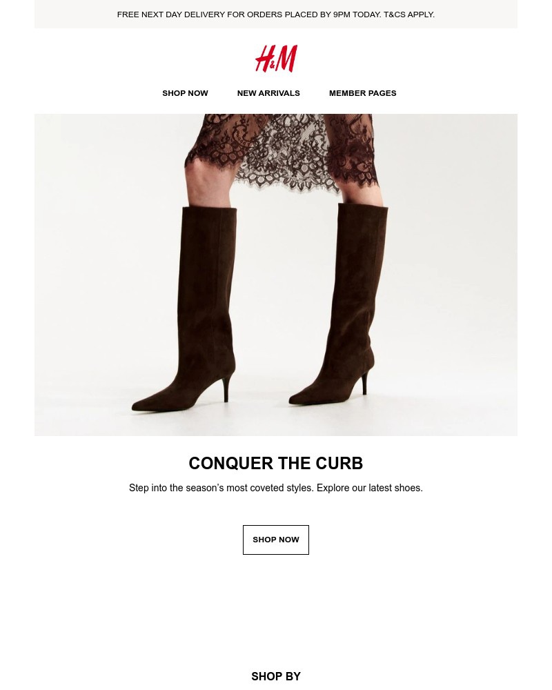 Screenshot of email with subject /media/emails/these-shoes-just-arrived-09057b-cropped-514ced03.jpg