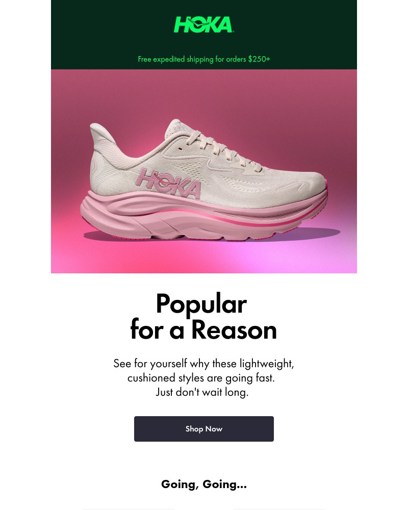 Screenshot of email with subject /media/emails/these-will-sell-out-ccb56b-cropped-d6354d2e.jpg