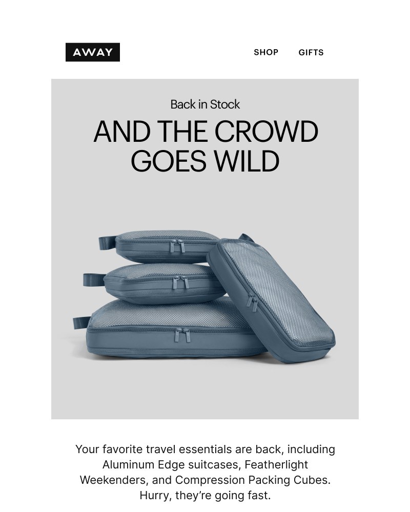 Screenshot of email sent to a Away Newsletter subscriber