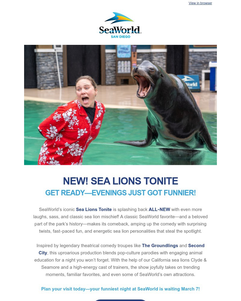 Screenshot of email sent to a Sea World Newsletter subscriber