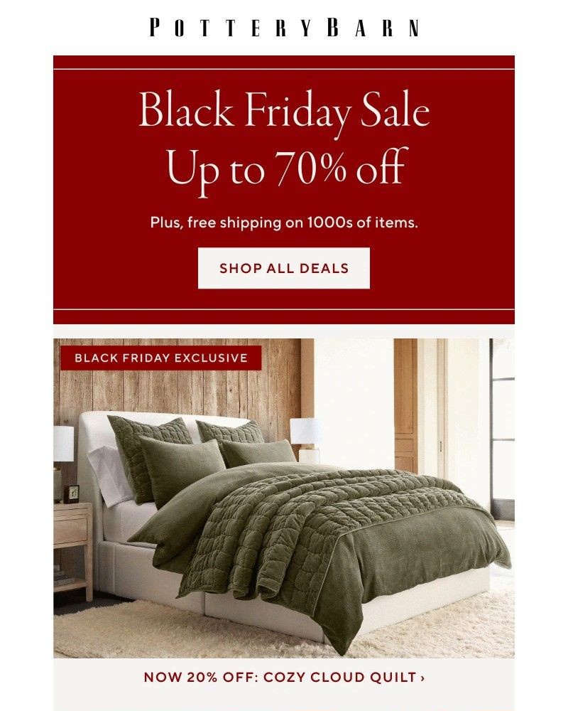 Screenshot of email with subject /media/emails/theyre-here-black-friday-deals-8eb788-cropped-4569ddc7.jpg