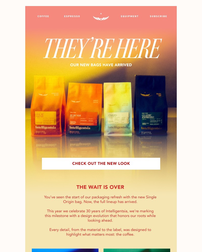 Screenshot of email with subject /media/emails/theyre-here-shop-our-entire-collection-of-new-bags-67bf85-cropped-4c032b7c.jpg