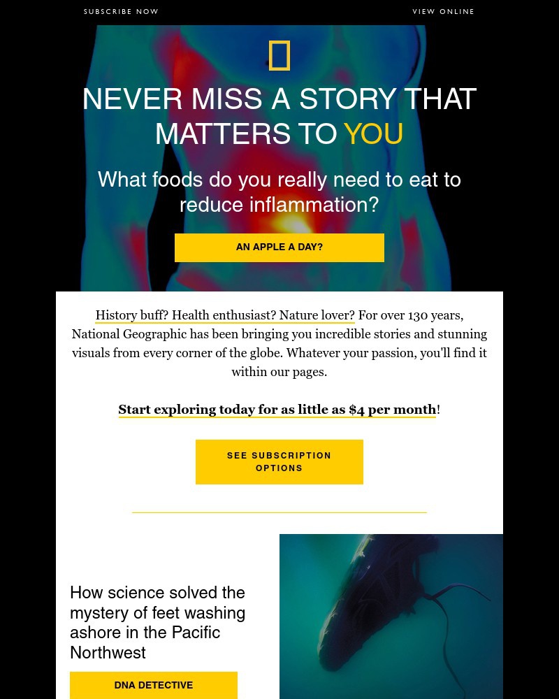 Screenshot of email with subject /media/emails/think-cannabis-has-few-side-effects-new-research-says-otherwise-subscribe-to-find_CIQm1Wd.jpg