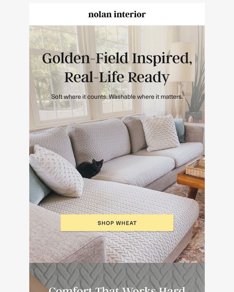 Screenshot of email with subject /media/emails/think-sun-shining-across-lush-golden-fields-60fdde-cropped-1cc34299.jpg