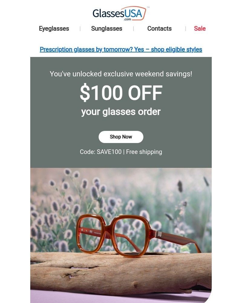 Screenshot of email with subject /media/emails/this-100-off-weekend-deal-is-only-for-subscribers-like-you-812cb3-cropped-9739b537.jpg