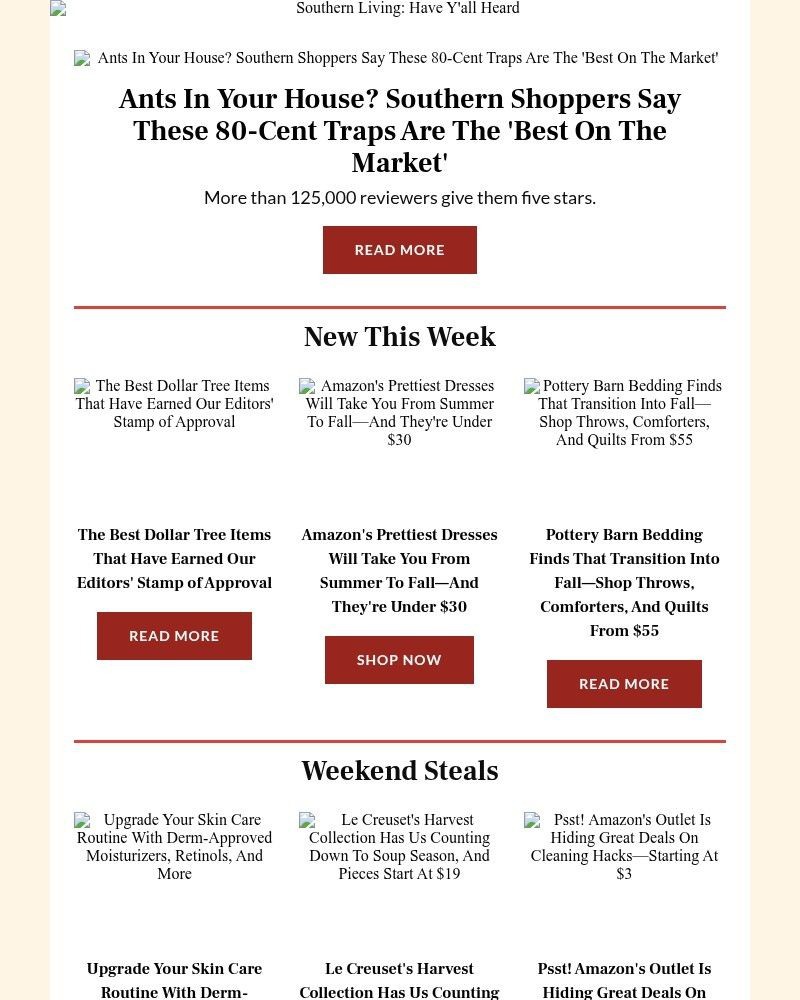 Screenshot of email with subject /media/emails/this-80-cent-hack-keeps-ants-from-invading-your-home-4516dd-cropped-81e8637b.jpg