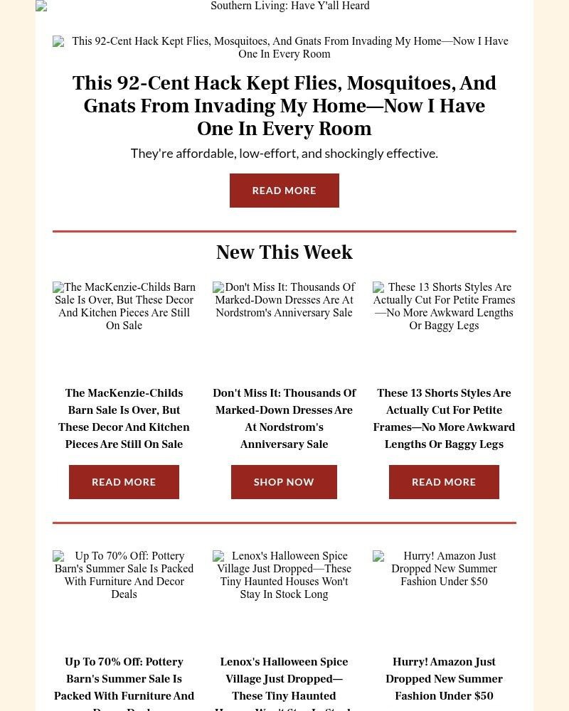 Screenshot of email with subject /media/emails/this-92-cent-trick-keeps-flies-and-gnats-outside-where-they-belong-278f3b-cropped_BIgDJXu.jpg