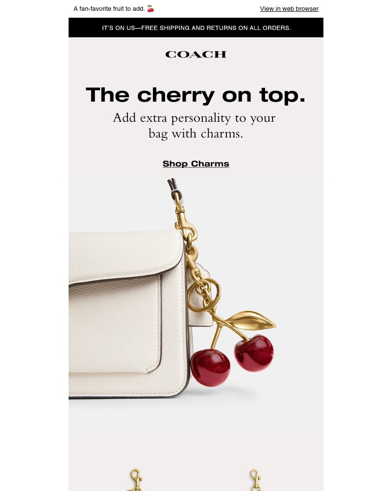 Screenshot of email with subject /media/emails/this-charm-is-a-big-hit-50df64-cropped-6f5eff5f.jpg