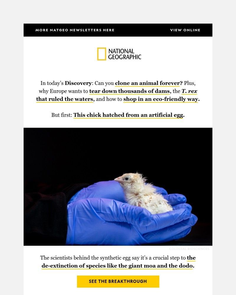 Screenshot of email with subject /media/emails/this-chick-hatched-from-an-artificial-eggand-can-you-clone-an-animal-forever-36d2_JxtUvWA.jpg