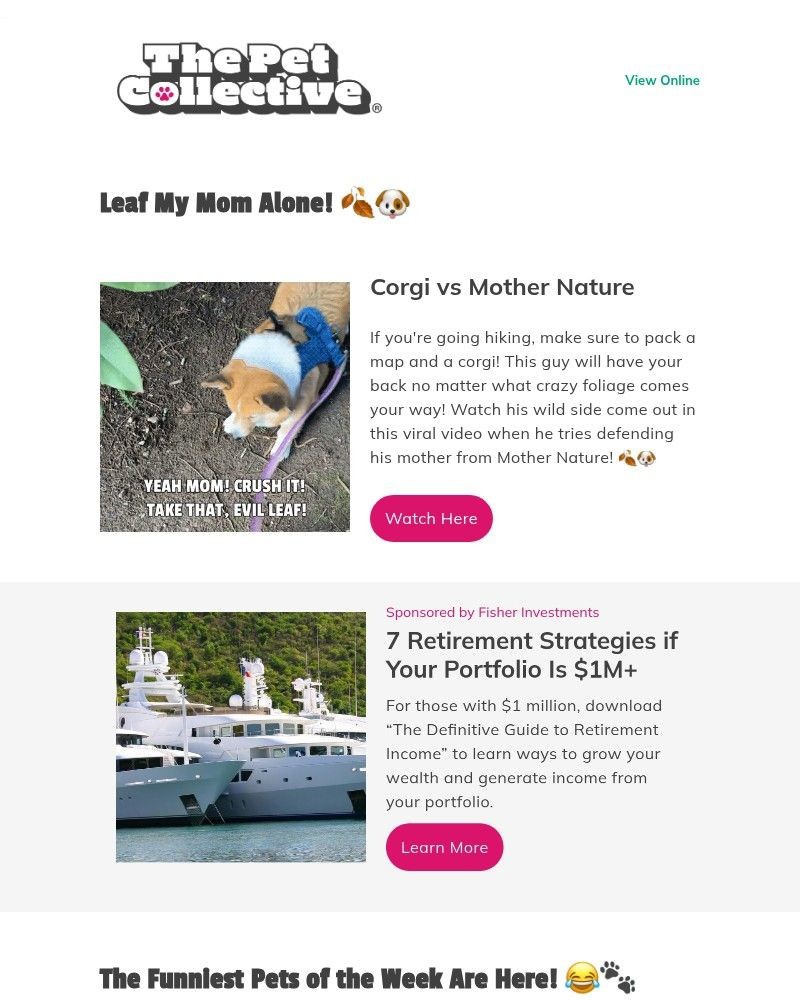 Screenshot of email with subject /media/emails/this-corgi-declares-war-on-a-leaf-834d20-cropped-3497a706.jpg