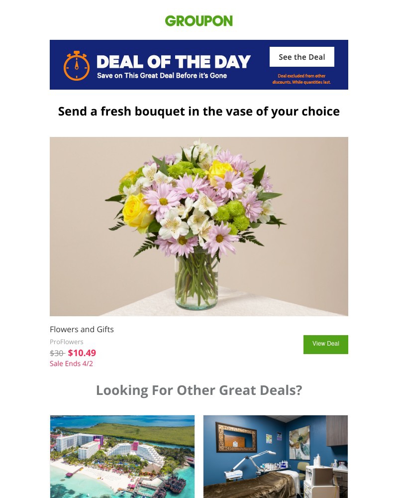Screenshot of email with subject /media/emails/this-deal-of-the-day-was-picked-just-for-you-55642d-cropped-870e9c98.jpg