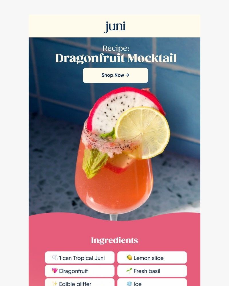 Screenshot of email sent to a Juni Newsletter subscriber