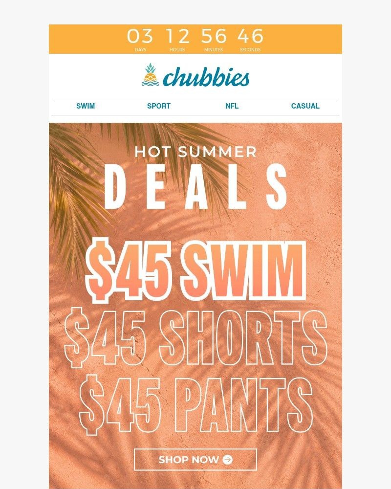 Screenshot of email sent to a Chubbies Newsletter subscriber