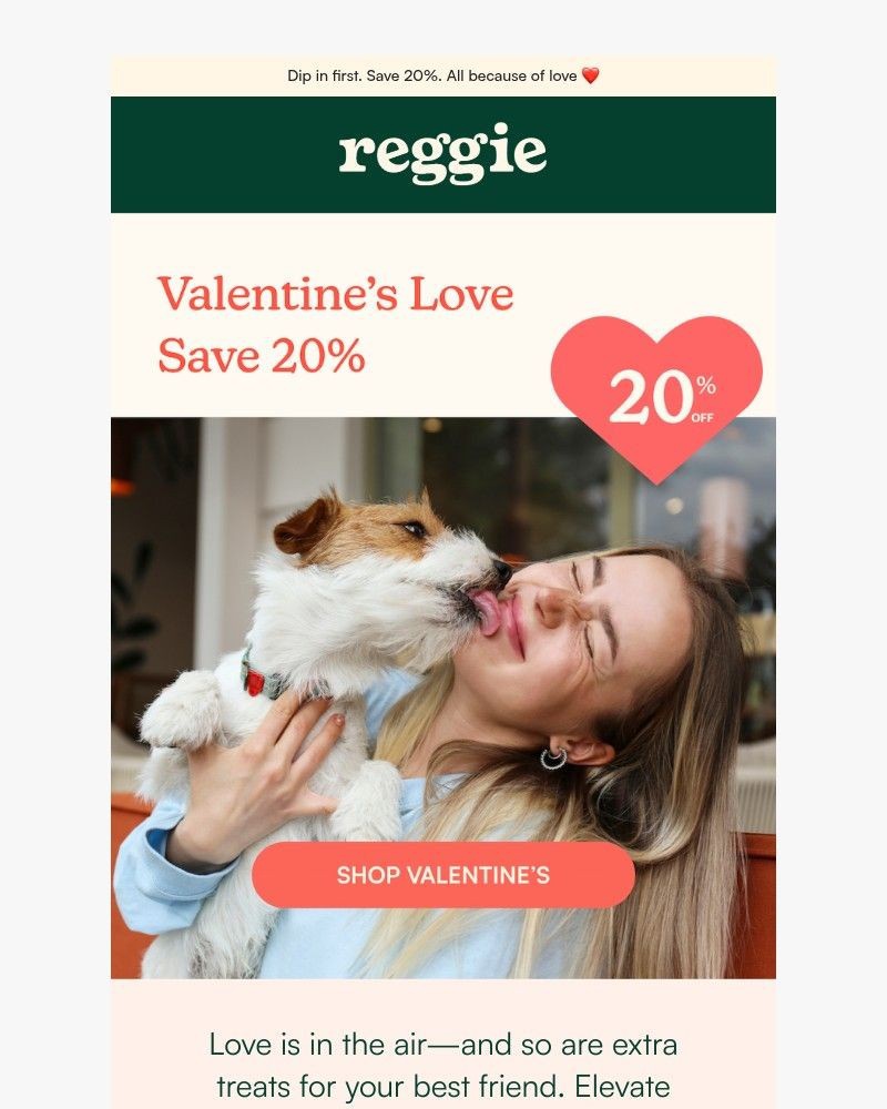 Screenshot of email sent to a reggie Newsletter subscriber