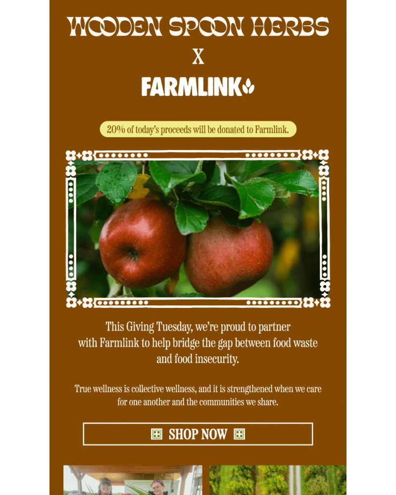 Screenshot of email with subject /media/emails/this-giving-tuesday-wsh-x-farmlink-71344d-cropped-8009269a.jpg