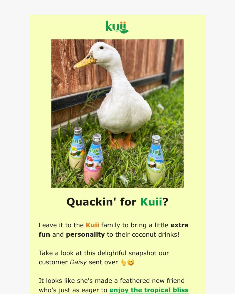 Screenshot of email with subject /media/emails/this-glass-bottled-drink-pure-bliss-quackin-good-af21a8-cropped-cbe59d45.jpg