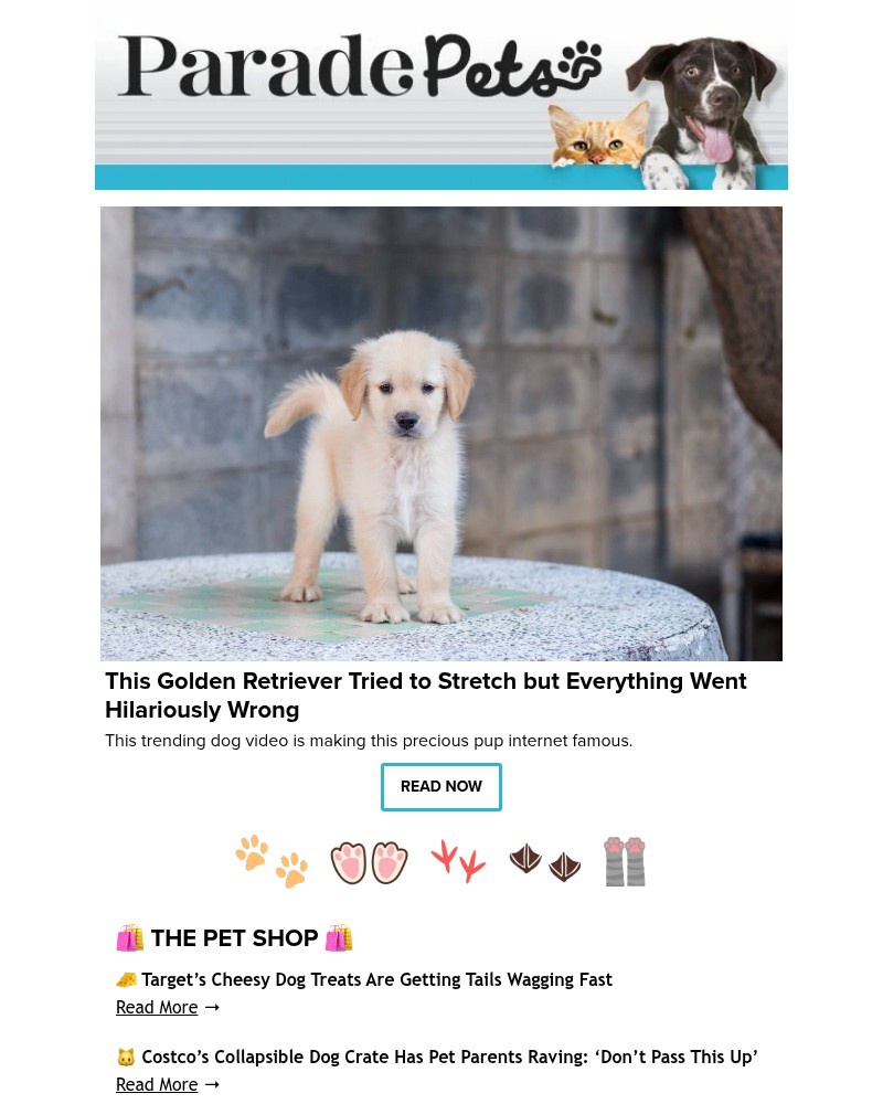 Screenshot of email with subject /media/emails/this-golden-retriever-tried-to-stretch-but-everything-went-hilariously-wrong-93ae_CWeQrEo.jpg