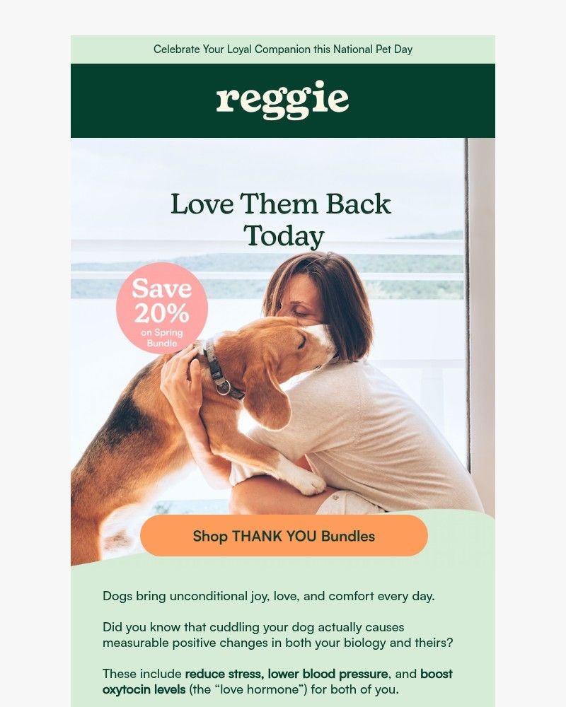 Screenshot of email sent to a reggie Newsletter subscriber