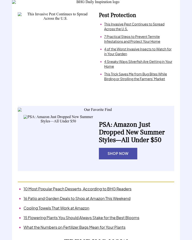 Screenshot of email with subject /media/emails/this-invasive-pest-continues-to-spread-across-the-us-3fba51-cropped-2bb38df5.jpg