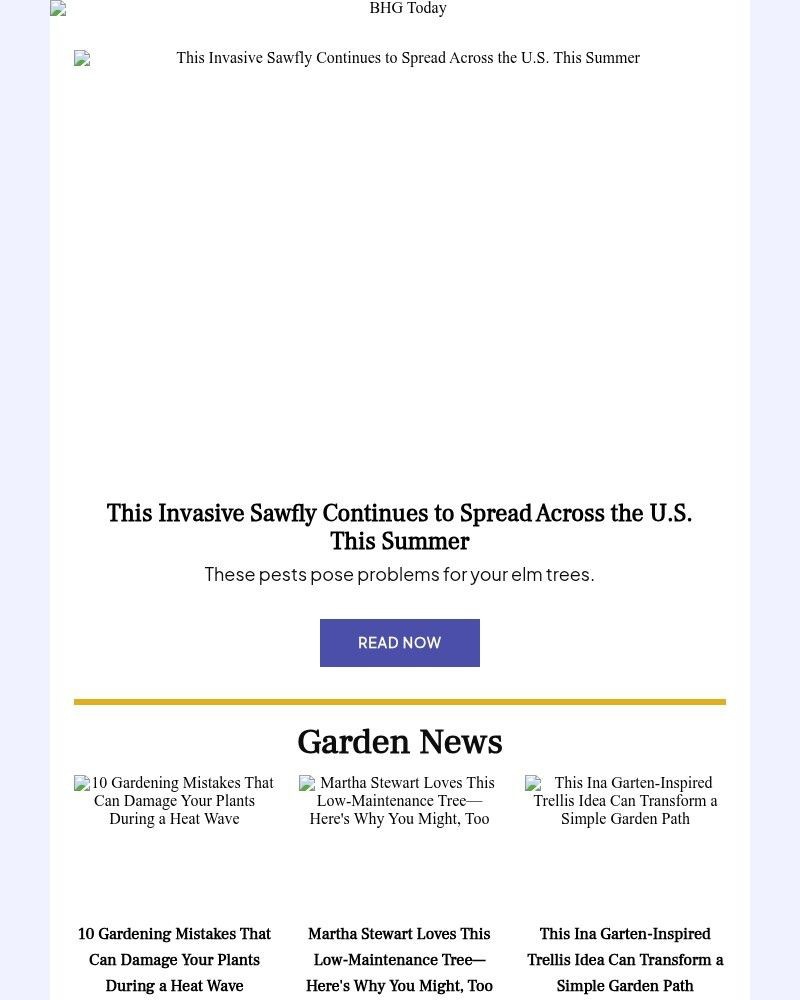Screenshot of email with subject /media/emails/this-invasive-sawfly-continues-to-spread-across-the-us-this-summer-8742e2-cropped_Xq97N6K.jpg