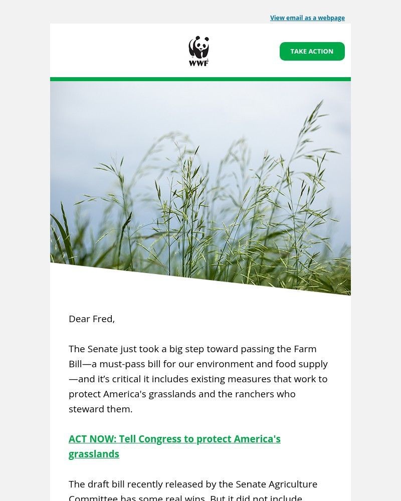 Screenshot of email sent to a World Wildlife Fund Newsletter subscriber