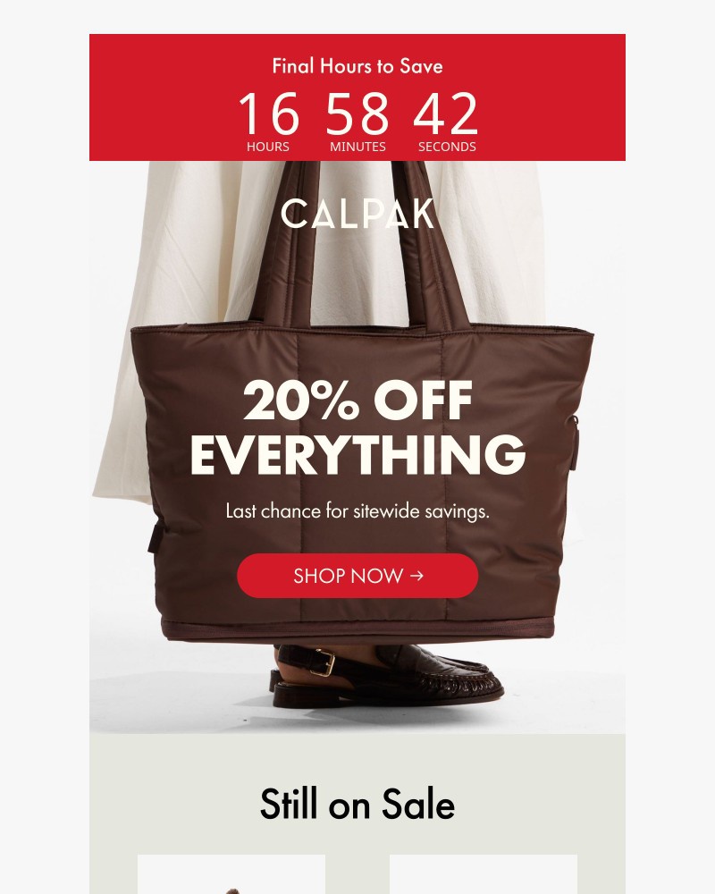 Screenshot of email with subject /media/emails/this-is-it-20-off-everything-d660b7-cropped-5eeeda4a.jpg