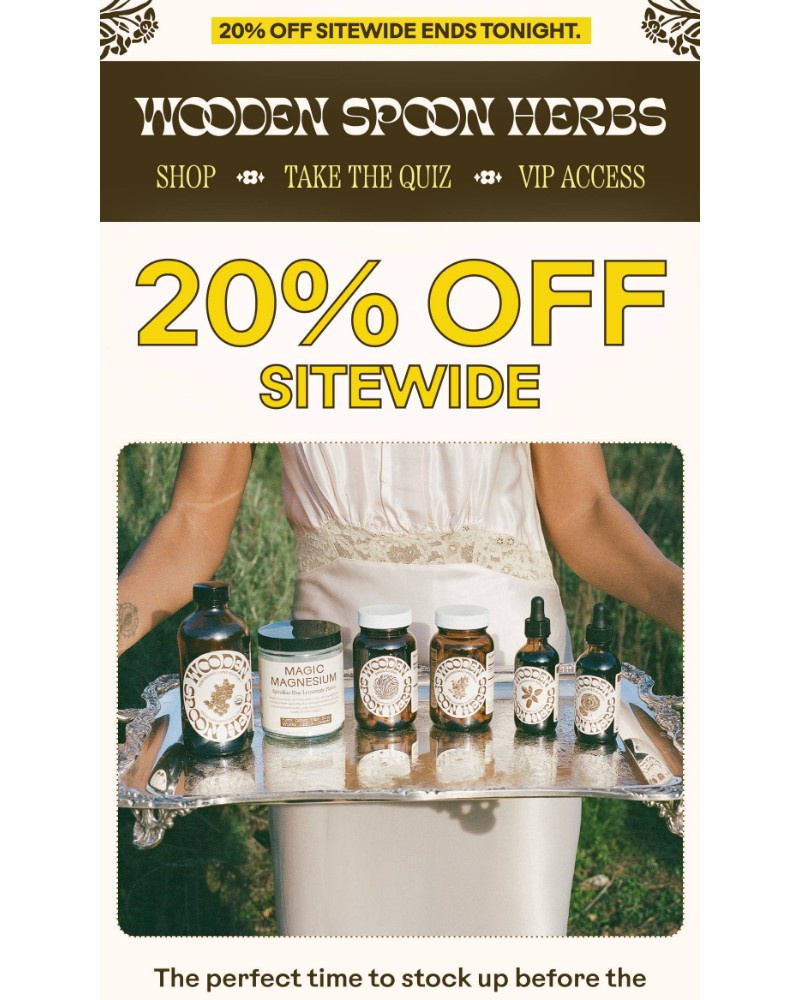 Screenshot of email with subject /media/emails/this-is-it20-off-ends-tonight-00c10b-cropped-fafdd499.jpg