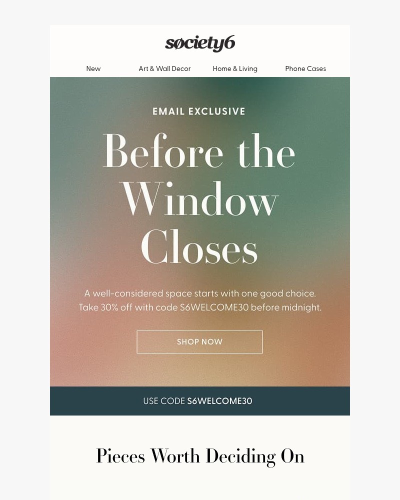 Screenshot of email sent to a Society6 Newsletter subscriber