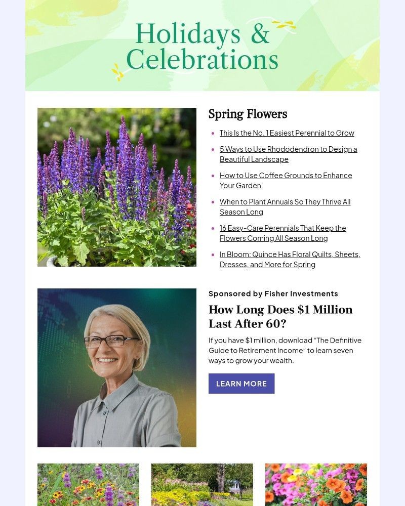 Screenshot of email with subject /media/emails/this-is-the-no-1-easiest-perennial-to-grow-21c021-cropped-fb34fa13.jpg