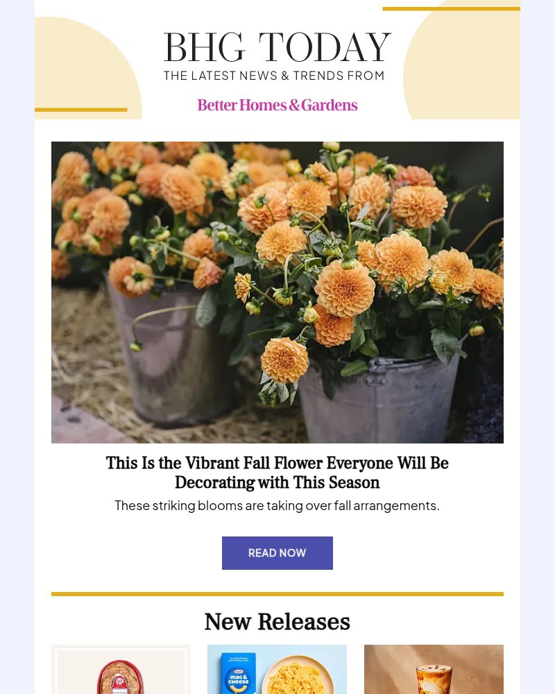 Screenshot of email with subject /media/emails/this-is-the-vibrant-fall-flower-everyone-will-be-decorating-with-this-season-96a5_lho1D7Q.jpg