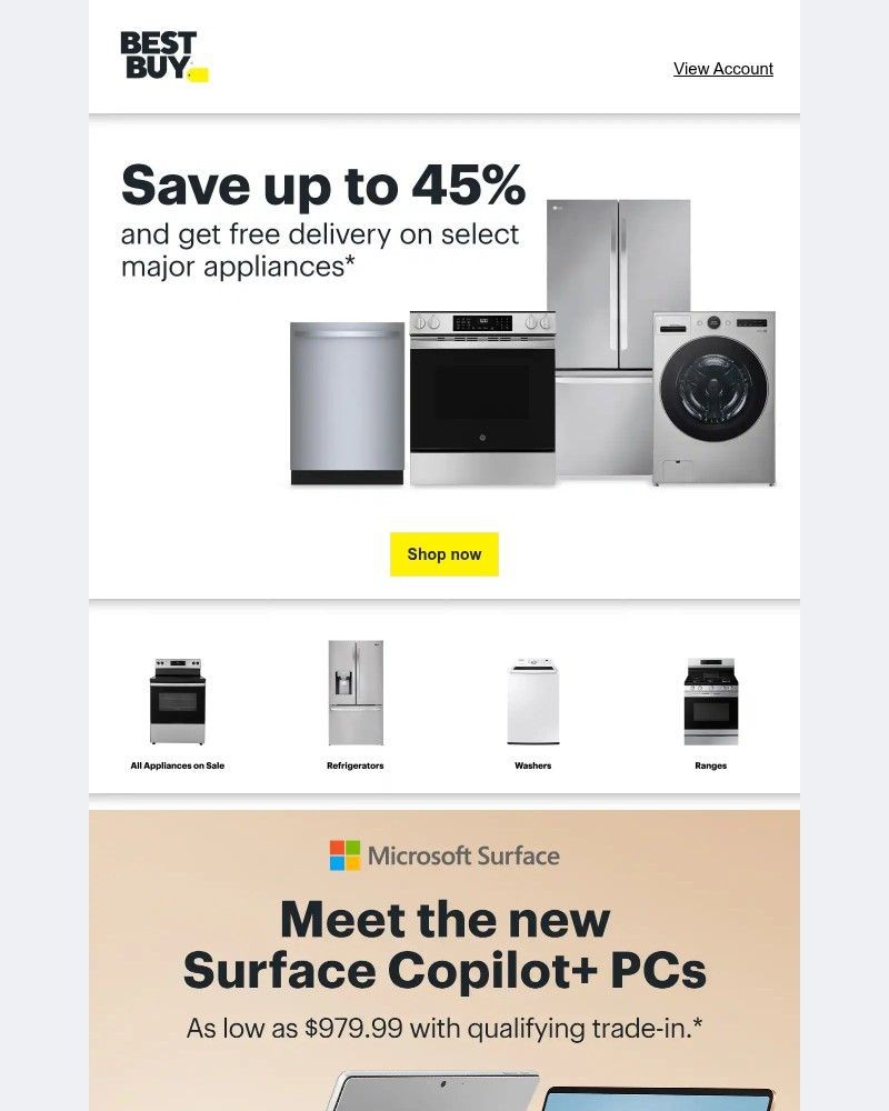 Screenshot of email sent to a Best Buy Newsletter subscriber