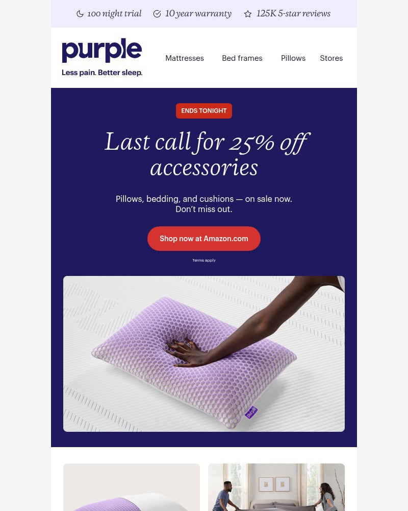 Screenshot of email sent to a Purple Cart abandoner